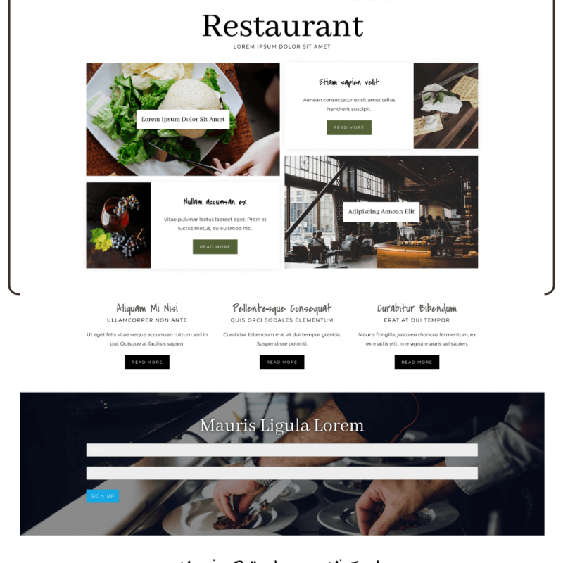 restaurant WordPress template